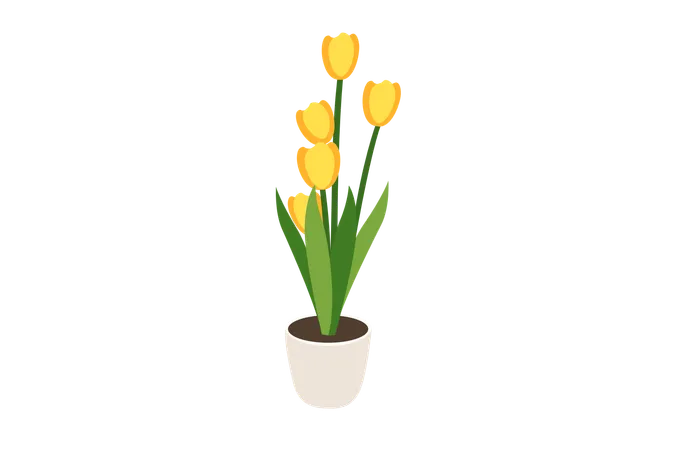 Gelbe Tulpenblume  Illustration