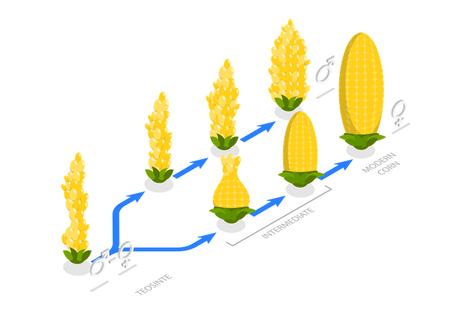 Genetic Engineering  Illustration