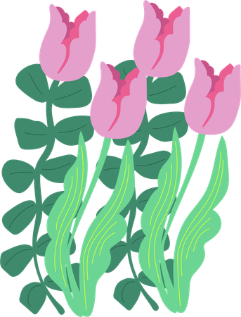 Gentle Pink Tulips  Illustration