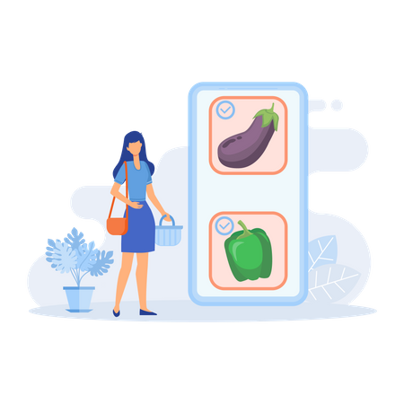 Getting groceries delivered  Illustration