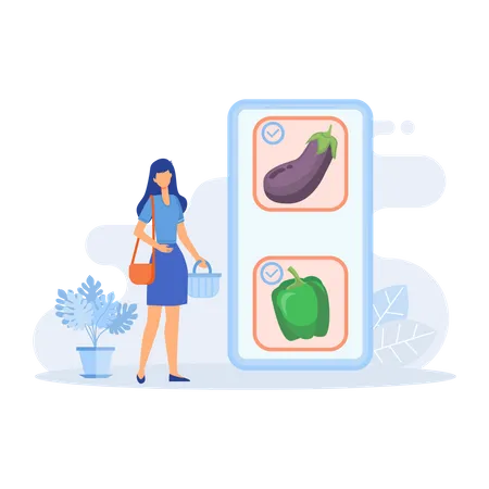 Getting groceries delivered  Illustration