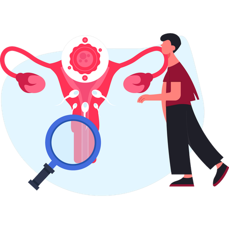 Ginecólogo revisando el útero  Ilustración