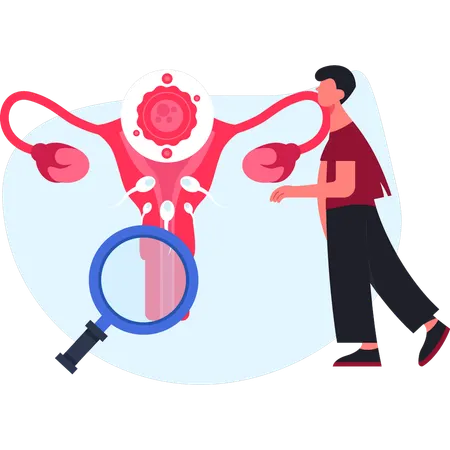 Ginecólogo revisando el útero  Ilustración