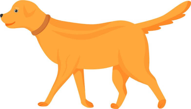 Ginger dog Illustration