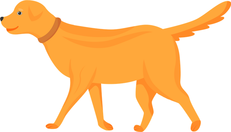 Ginger dog  Illustration