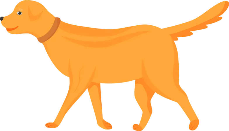 Ginger dog  Illustration