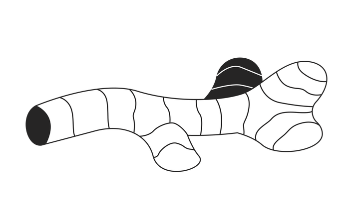 Ginger root  Illustration