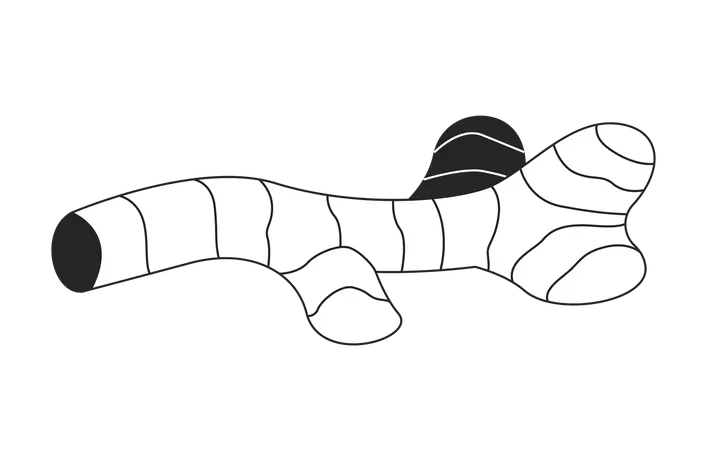 Ginger root  Illustration