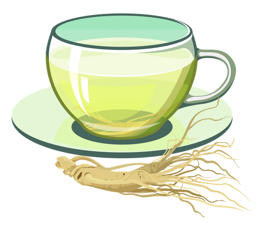 Ginseng tea  Illustration