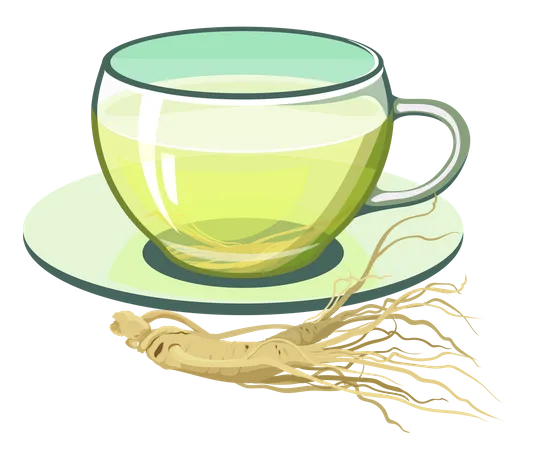 Ginseng Tea Health Herb Food Medicine Concept On White Background Vector Illustration