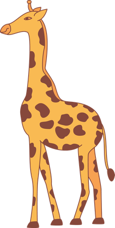 Girafe  Illustration