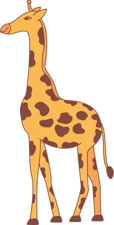 Girafe  Illustration