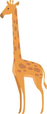 Girafe  Illustration