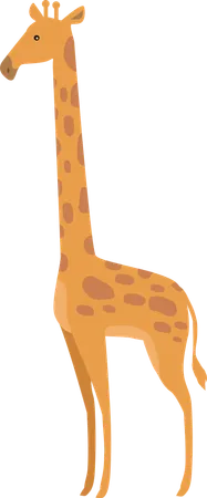 Girafe  Illustration