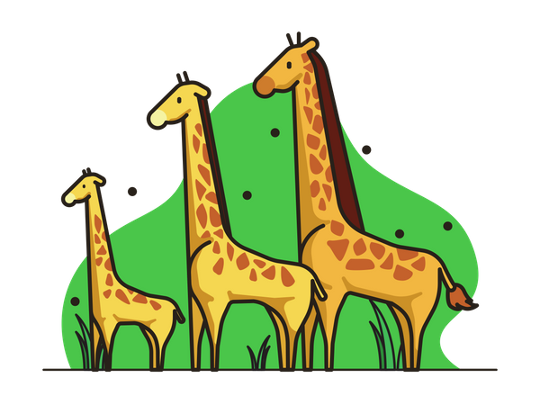 Girafe  Illustration