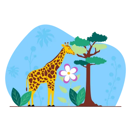 Girafe  Illustration