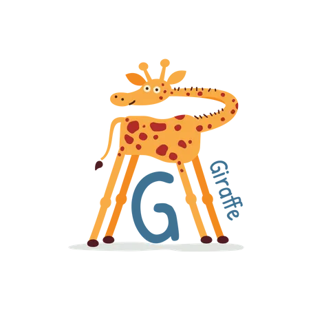 Giraffe  Illustration