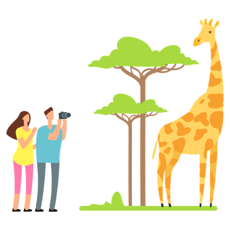 Giraffe at zoo  Illustration