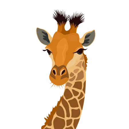 Giraffe Head Isolated On White African Animal Mammal Portrait Vector Illustration