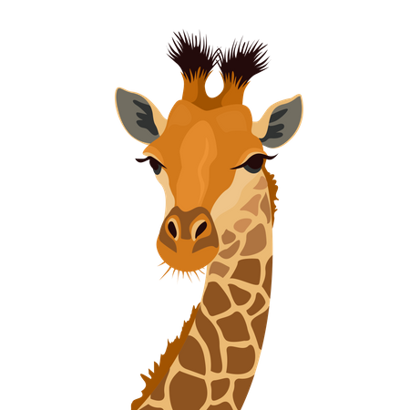 Giraffe head  Illustration