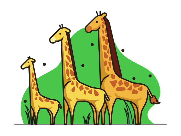 Giraffe  Illustration