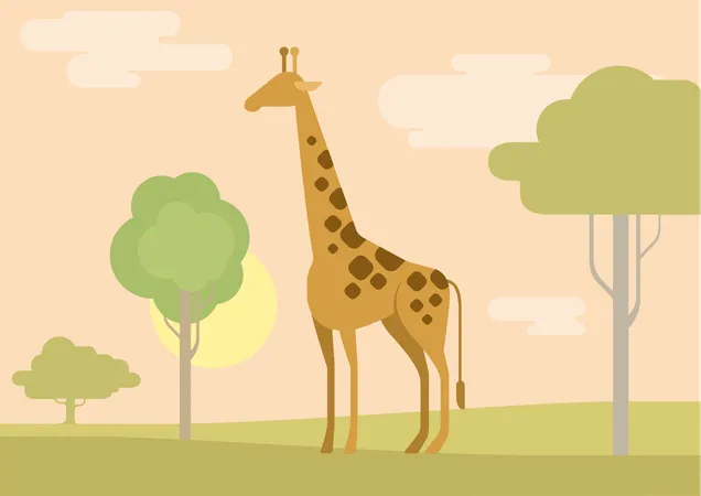 Giraffe  Illustration