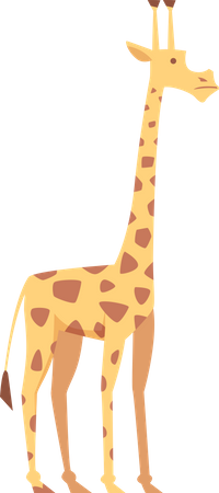 Giraffe  Illustration