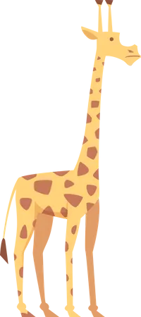 Giraffe  Illustration