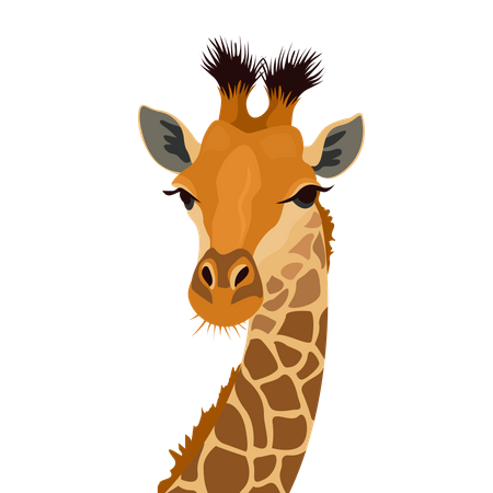 Giraffenkopf  Illustration