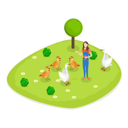 Girl at poultry farming  Illustration