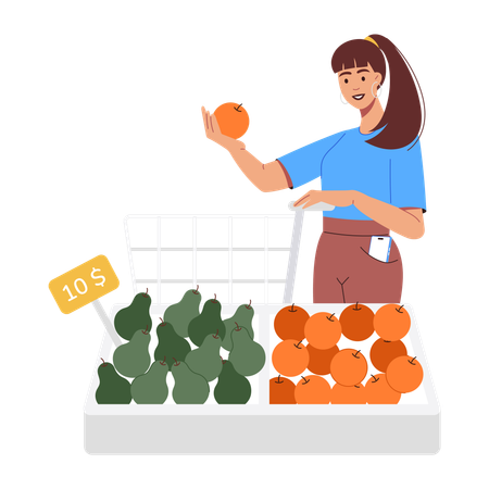 Girl Buying Groceries  Illustration