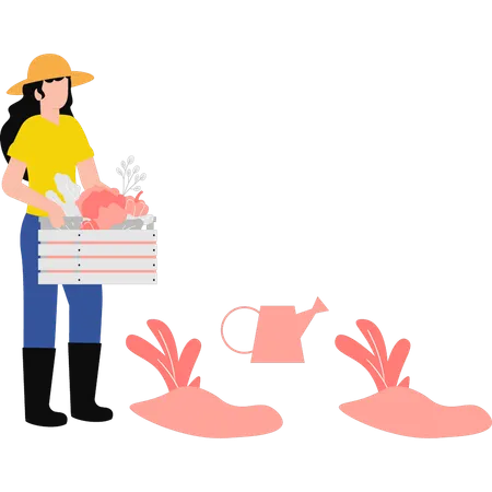 The Girl Is Carrying A Basket Illustration