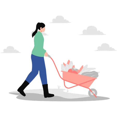 A Girl Is Carrying Vegetables In A Wheelbarrow Illustration