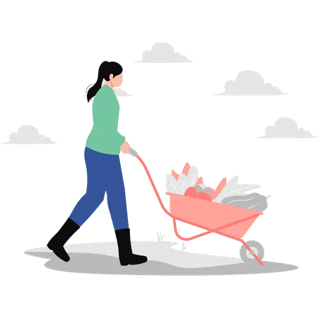 Girl carrying vegetables in wheelbarrow  Illustration