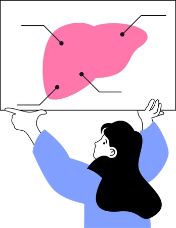 Girl checking liver report  Illustration