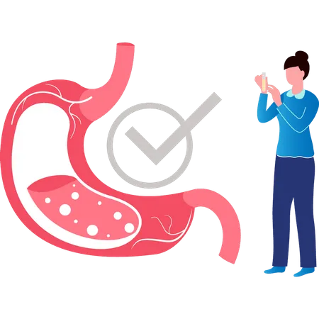 Girl checking Stomach healthy  Illustration