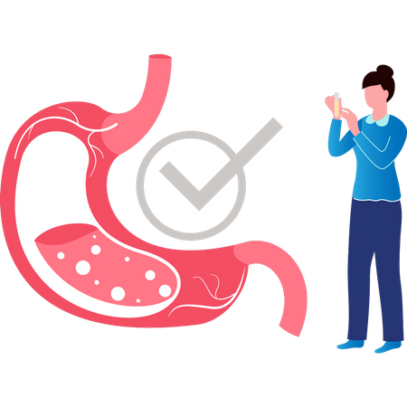 Girl checking Stomach healthy  Illustration