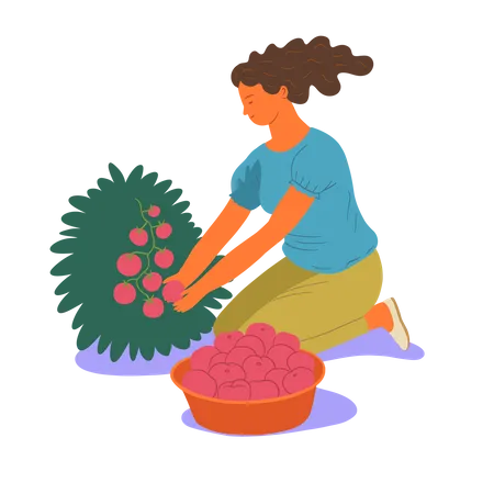 Girl collecting berries Illustration