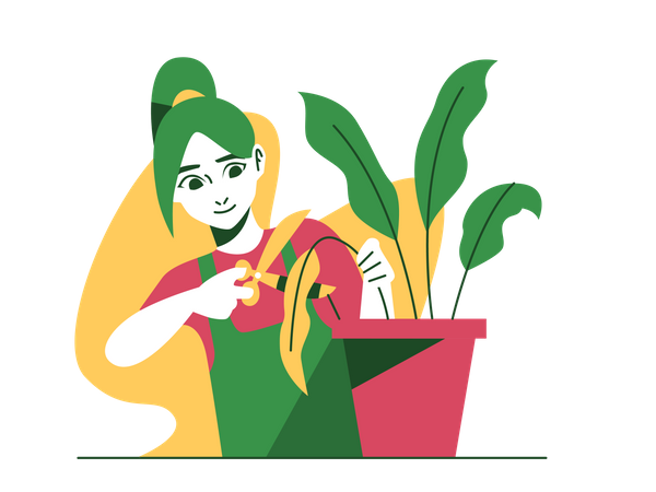 Girl cutting dead leaves  Illustration