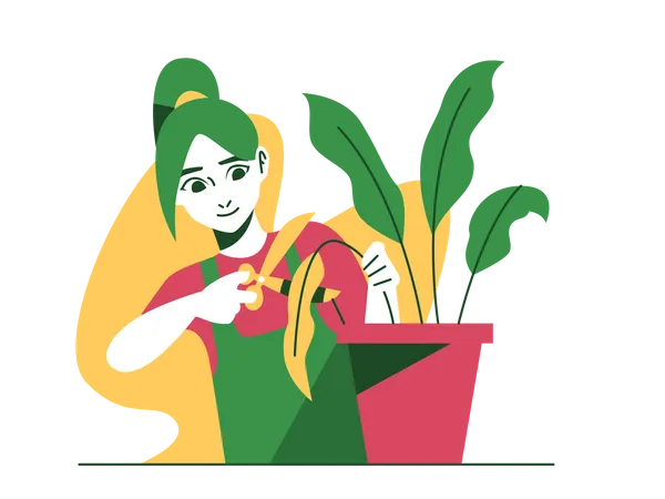 Girl cutting dead leaves  Illustration