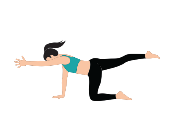 Girl doing bird dog pose  Illustration