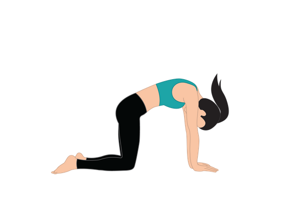 Girl doing cat pose yoga  Illustration
