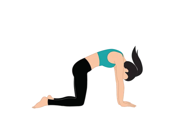 Girl doing cat pose yoga  Illustration