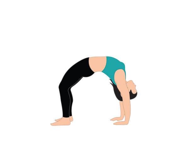 Girl doing Chakrasana  Illustration