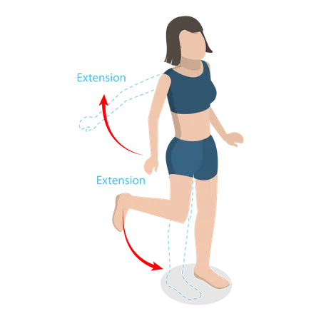 3 D Isometric Flat Vector Illustration Of Flexion And Extension Human Body Movement Item 1 Illustration