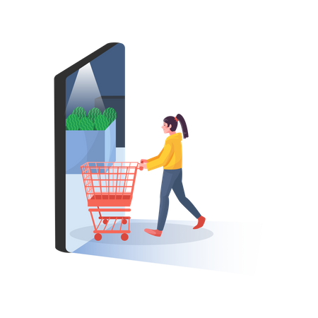 Girl doing online shopping  Illustration