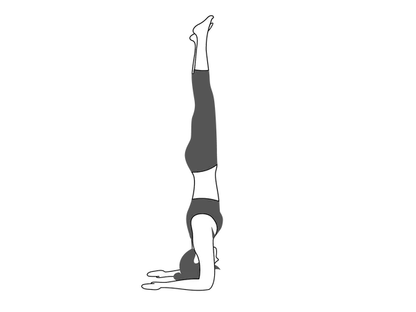 Girl doing Pincha Mayurasana  Illustration