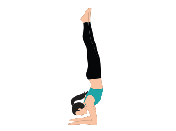 Girl doing Pincha Mayurasana  Illustration