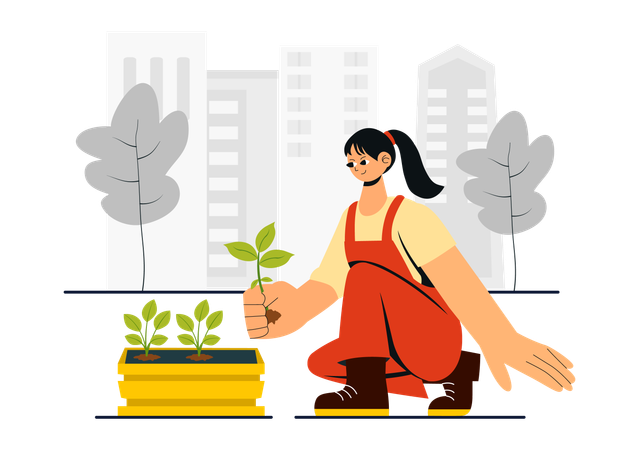 Girl doing Urban Gardening  Illustration