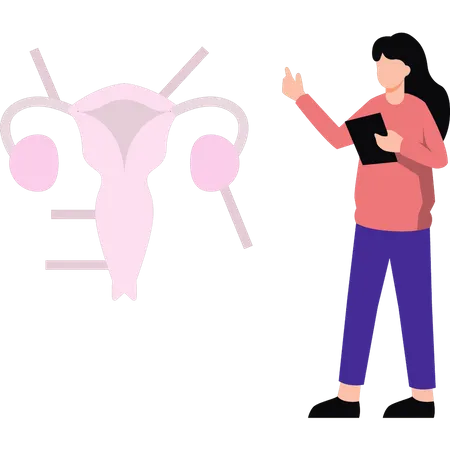 Girl examining vagina Illustration